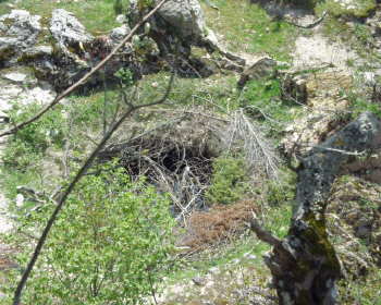 [Bunar (cisterna) za vodu - smatra se kako je u Bobovac dovedeno vrelo Radakovica drvenim cijevima]